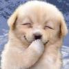 Zippy_iuc's Avatar